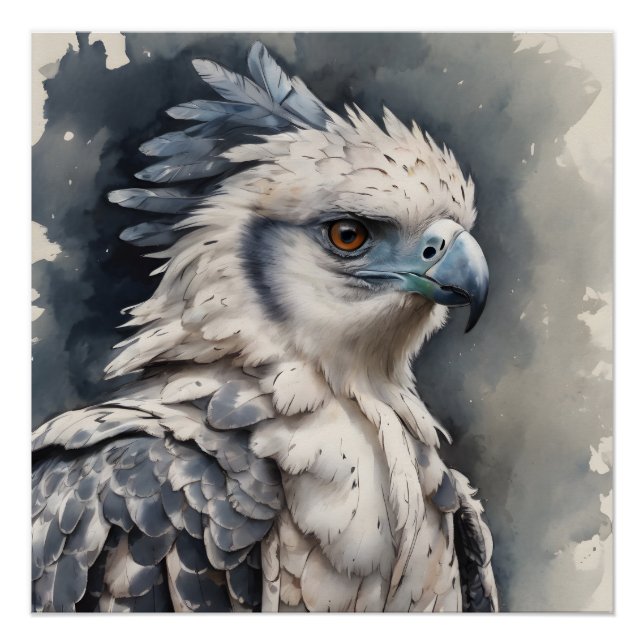 Harpy Eagle no 1 Glossy Poster (Vorderseite)