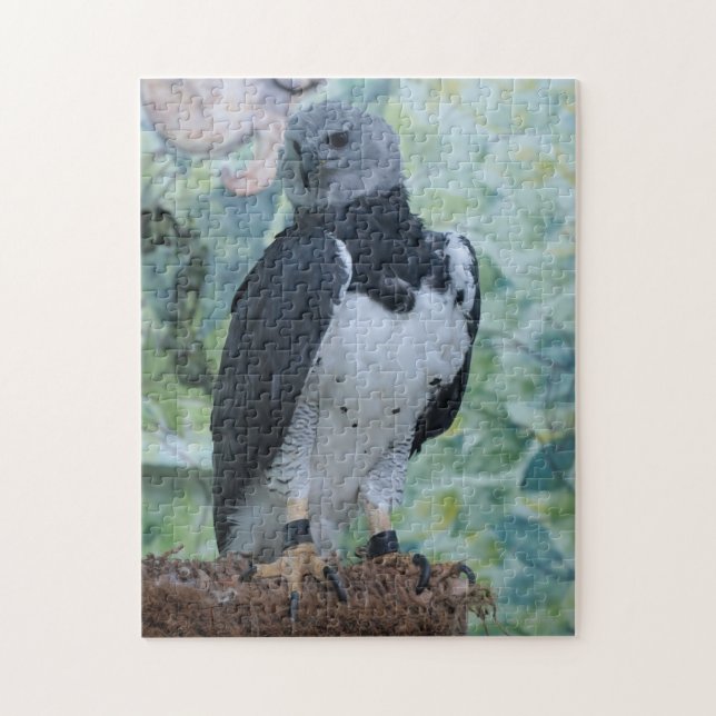 Harpy Eagle noch Puzzle (Vertikal)