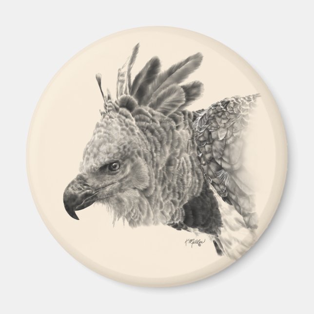 Harpy Eagle Zeichnend Magnet (Vorne)