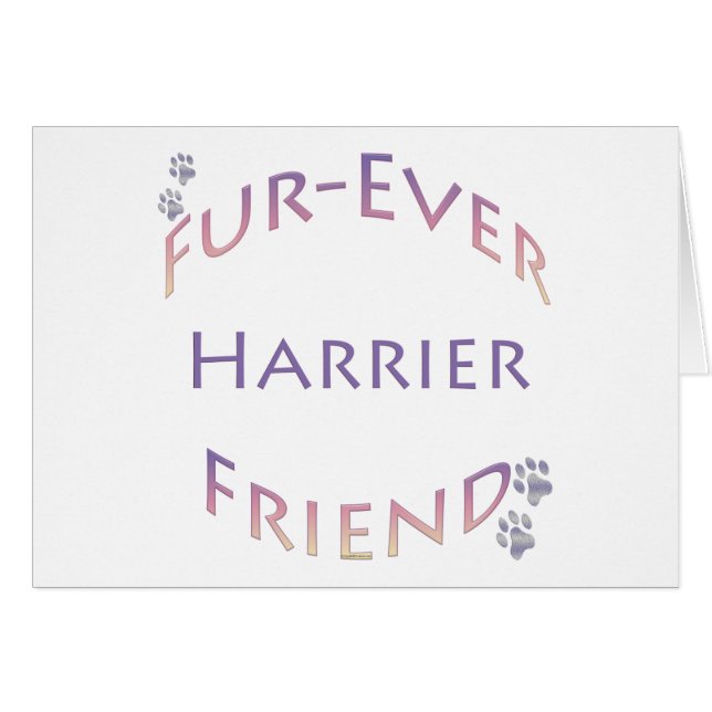 Harrier Furever (Vorderseite (Horizontal))