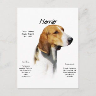 Harrier History Design Postkarte