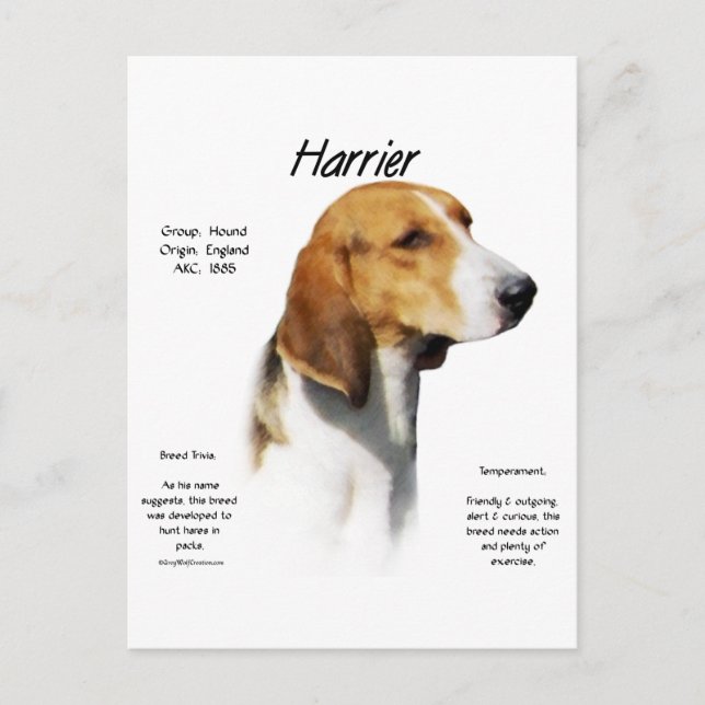 Harrier History Design Postkarte (Vorderseite)