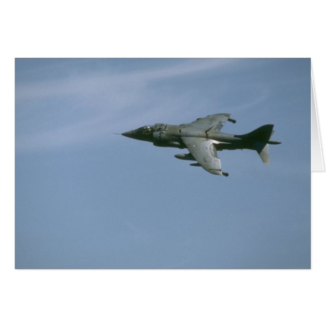 Harrier im Flug (Vorderseite (Horizontal))