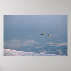 Harrier Jump Jets Poster