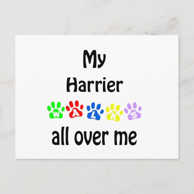 Harrier Walks Design Postkarte (Vorderseite)