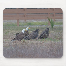 Harriet M15 E10 und E11 Mousepad