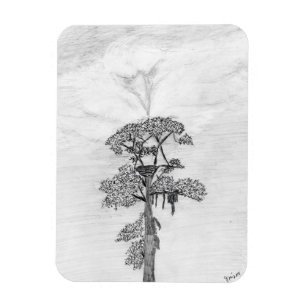 HARRIET M ZUHAUSE STORY OF FAMILY TREE OZZIE WATCH MAGNET