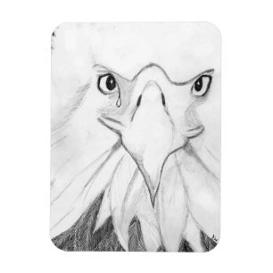 HARRIET OZZIE M15 Es ZUHAUSE STORY OF FAMILY TREE  Magnet