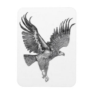 HARRIET OZZIE M ZUHAUSE STORY OF FAMILY TREE8 SOAR MAGNET