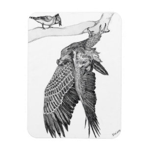 HARRIET OZZIE M ZUHAUSE STORY OF FAMILY TREE9 OOPS MAGNET