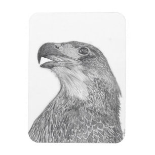 HARRIET OZZIE M ZUHAUSE STORY OF FAMILY TREE 9 LIE MAGNET