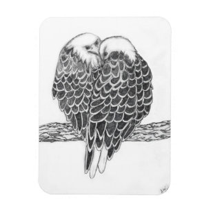 HARRIET OZZIE M ZUHAUSE STORY OF FAMILY TREE LIEBE MAGNET