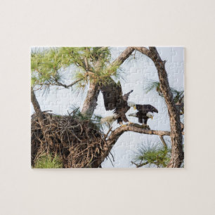 Harriet u. m-Puzzlespiel Puzzle