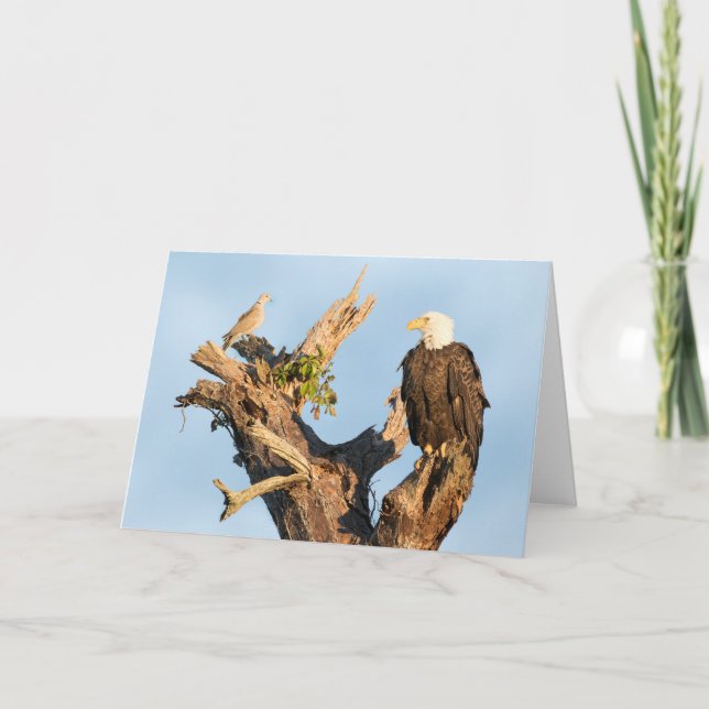 Harriet und die Taube Feiertagskarte (Vorderseite)