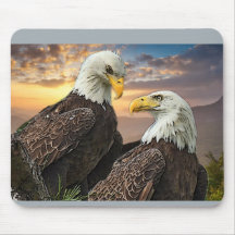 Harriet und M15, wenn ich in Ihre Augen sehe