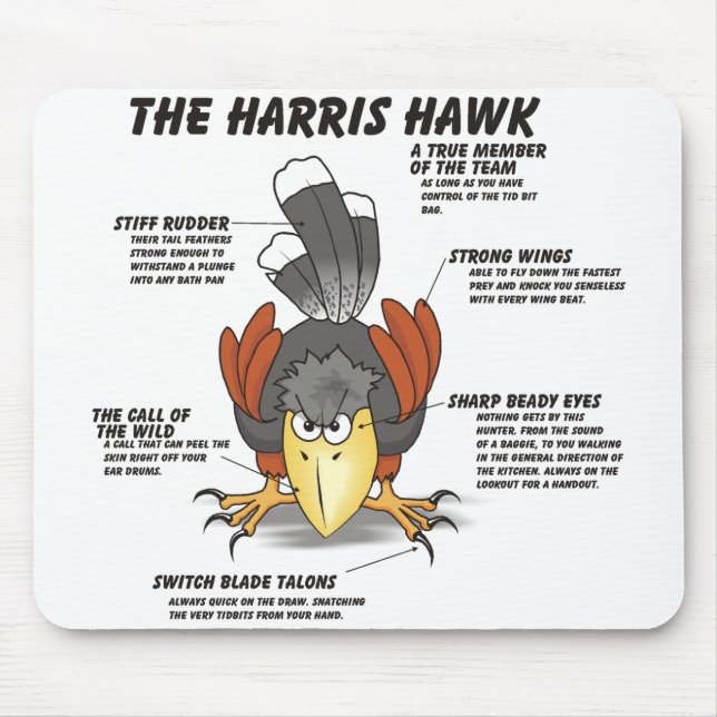 Harris-Falke-Cartoon Mousepad (Vorne)