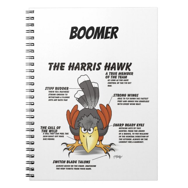 Harris-Habicht-Cartoon Notizblock (Vorderseite)