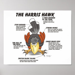 Harris-Habicht-Cartoon Poster