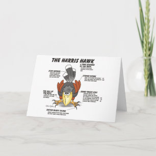 Harris Hawk Cartoon Card Karte