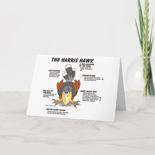 Harris Hawk Cartoon Card Karte (Vorderseite)