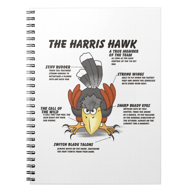 Harris Hawk Cartoon Notizblock (Vorderseite)