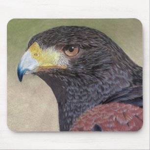 Harris Hawk farbige Stifte Mousepad