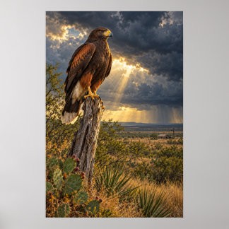 Harris-Hawk unter einem texanischen Sturm Poster