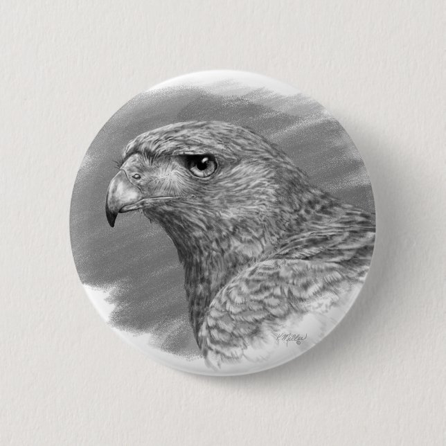 Harris Hawk Zeichnend Button (Vorderseite)