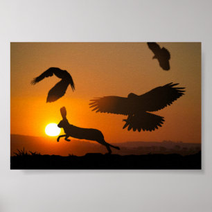 Harris Hawks Poster