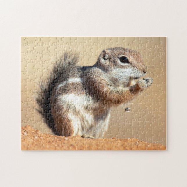 Harris’s antelope squirrel (Ammospermophilus) Puzzle (Horizontal)