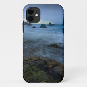 Harris-Strand-Staats-Park Oregon iPhone 11 Hülle