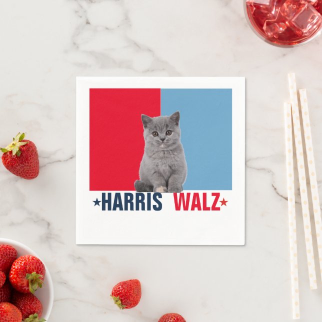 Harris Walz 2024 offensichtlich Red Blue Serviette (Beispiel)