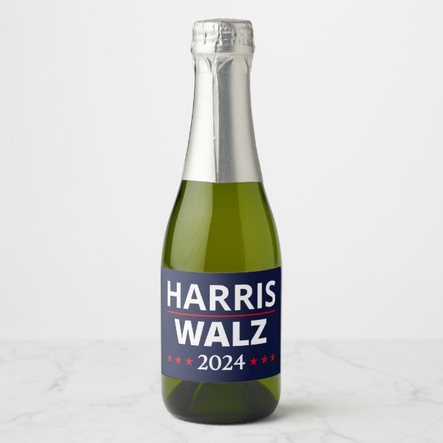 Harris Walz Wahl 2024 III (Vorderseite)