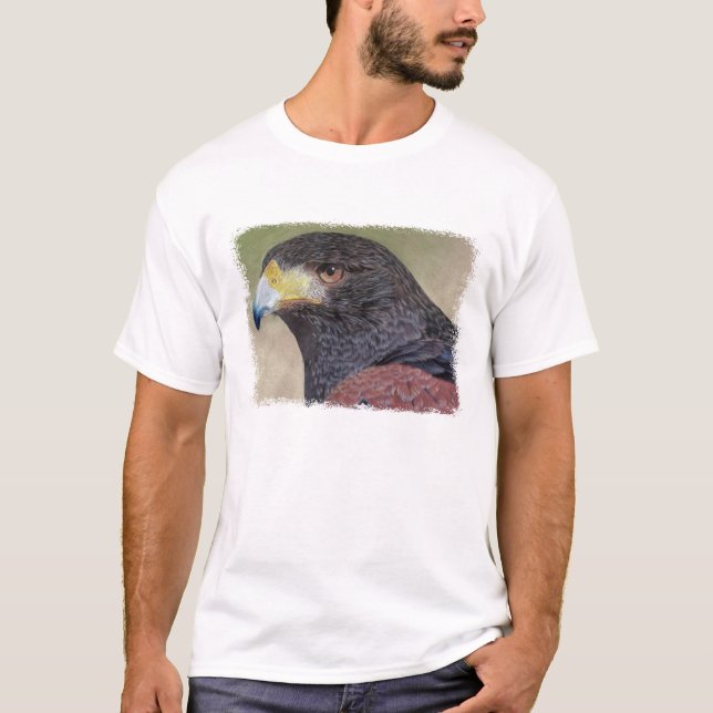Harrisc$falke-cp T-Shirt (Vorderseite)