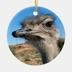 Harry der glückliche Strauß Keramik Ornament