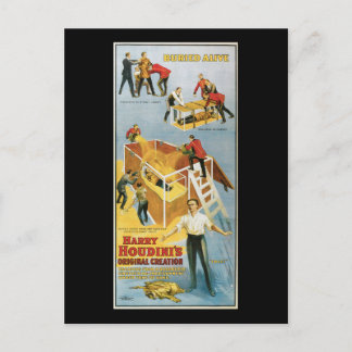 Harry Houdini, Lebendig Begraben Vintage Poster, 1 Postkarte