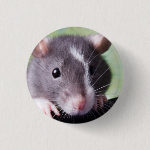 Harry-Knopf Button