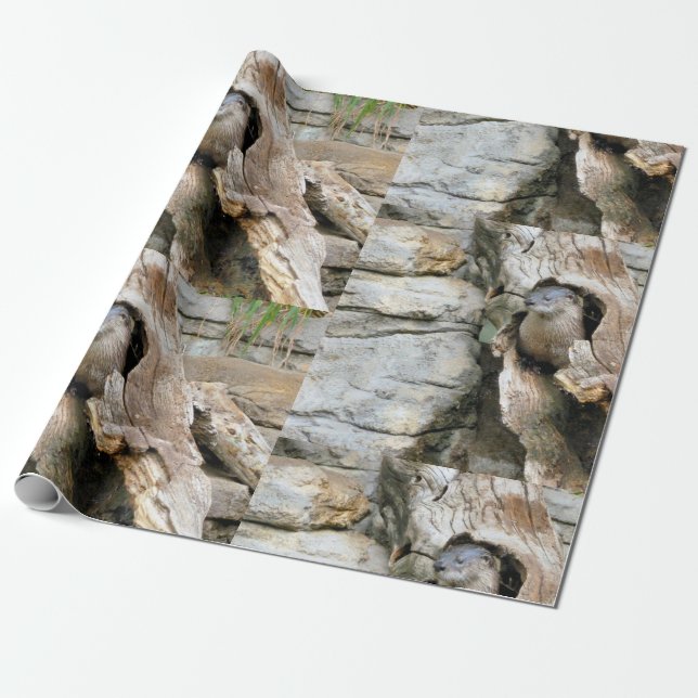 Harry Otter Geschenkpapier (Ungerollt)