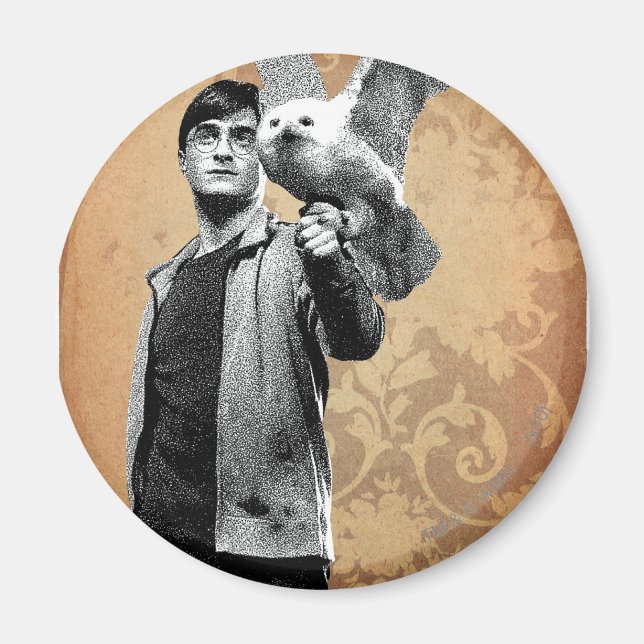 Harry Potter 12 Magnet (Vorne)