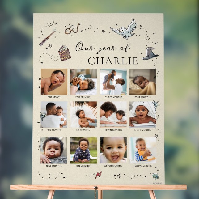 Harry Potter 1. Geburtstag - 12. Monat Foto Collag Acrylschild (Neutral)