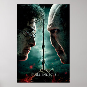 Harry Potter 7 Part 2 - Harry vs Voldemort Poster