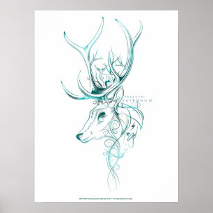 Harry Potter   Aguamenti EXPECTO PATRONUM™ Hirsch Poster