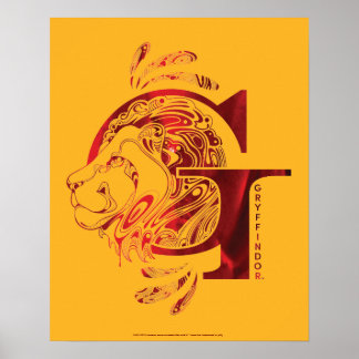 Harry Potter Aguamenti GRYFFINDOR™ Graphic Poster