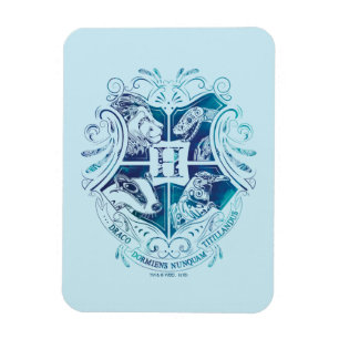 Harry Potter   Aguamenti HOGWARTS™ Crest Magnet