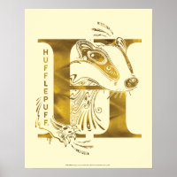 Harry Potter | Aguamenti HUFFLEPUFF™ Grafik