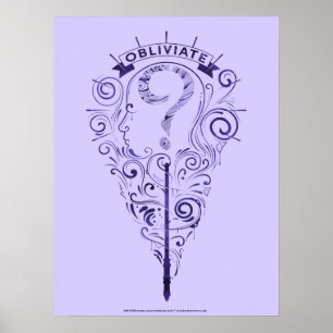 Harry Potter Aguamenti Obliviate Graphic Poster