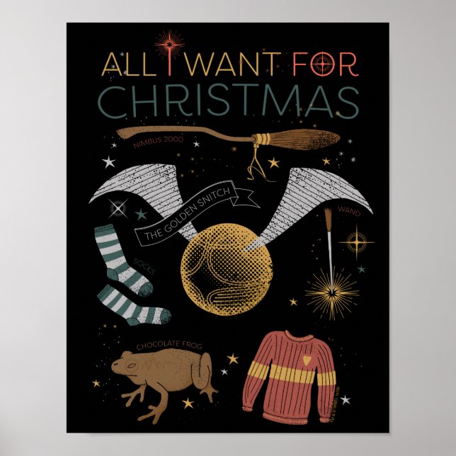 HARRY POTTER™ Alles, was ich zu Weihnachten Wollte Poster (Vorne)