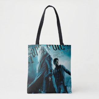 Harry Potter and Dumbledore on rocks 1