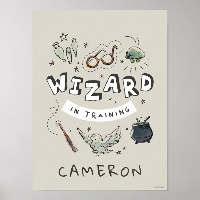 HARRY POTTER™ | Assistent im Training Poster (Vorne)