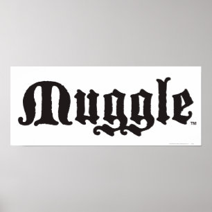 Harry Potter-Bann   Muggle Poster